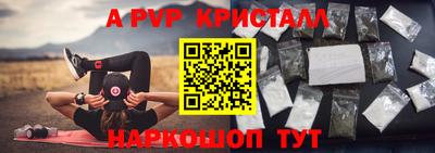 СК Сланцы