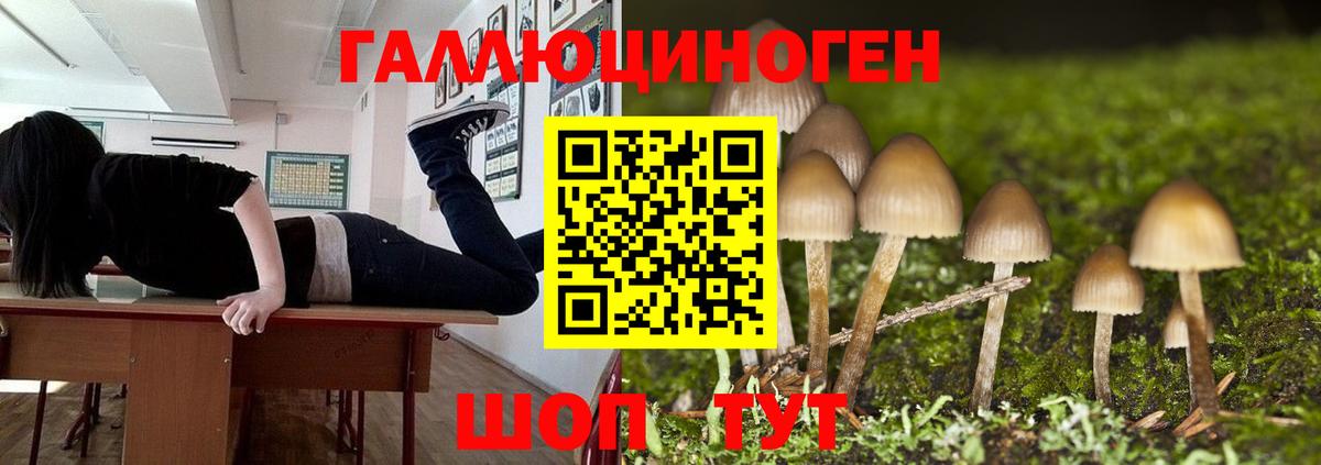 Наро-Фоминск  Псилоцибиновые грибы MAGIC MUSHROOMS  Вход с VPN 
